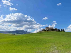 Il tartufo: un tesoro incantato nelle colline Pisane