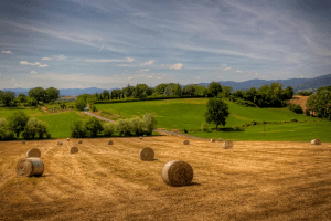 acquistare prodotti enogastronomici a km 0