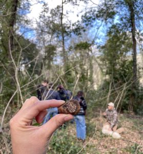 Il tartufo: un tesoro incantato nelle colline Pisane