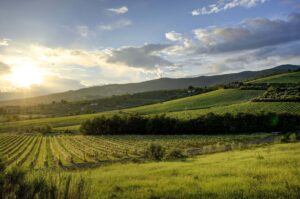 fattoria casalbosco degustazione