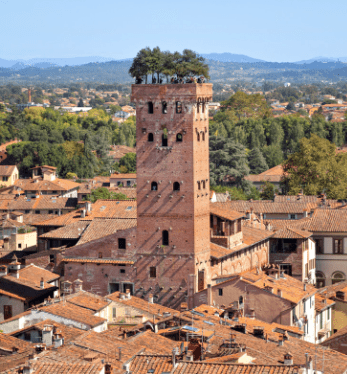 lucca torreguinigi-min