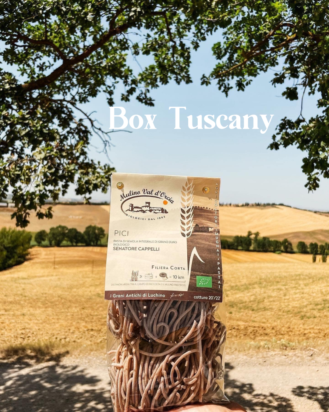 Box Tuscany